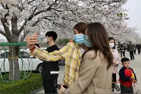 潍坊震撼美图来袭！我与潍坊人民广场樱花有个约会！图片