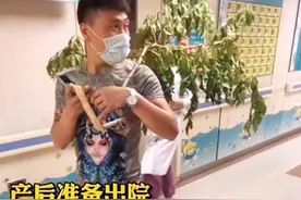 “最实惠”的宝爸火了，扛一大颗桃树杈给娃辟邪，宝妈没忍住笑了图片