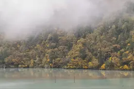 邂逅原始森林、泡资格野温泉，雅安这处私藏秘境太适合秋天，2天打来回！图片