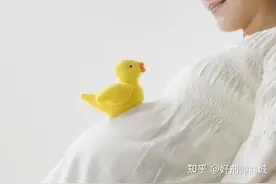 好剂师丨孕期怎么补充营养？补对关键营养很重要图片