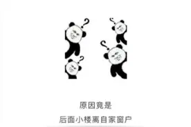 邻居在自家后面修建了一栋二层小楼，邻居房屋离我家只有二十厘米，算违法吗？图片