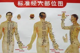 十二经脉一般规律图片