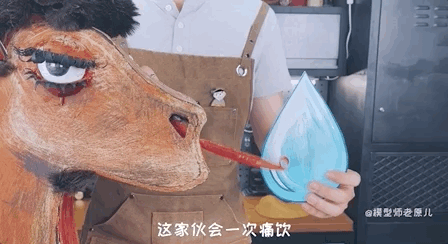 骆驼的驼峰竟然不是用来存水的？那它靠啥在沙漠里笑嘻嘻？