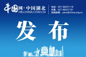 接连三度延期 随州绿地城际空间站何时能交房图片