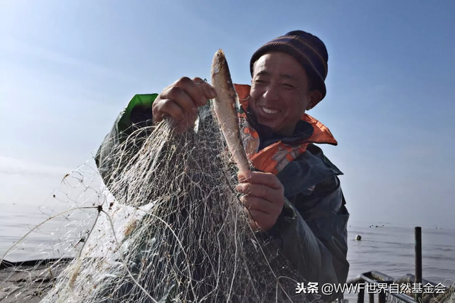 悦恣胶原肽复合果蔬片怎么吃 2026年悦恣胶原肽复合酵素片副作用