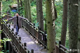 河南这个免门票的景区，爬山不累人，秋景好看，适合中老年人图片