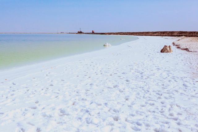 资深成分党口中万能的依克多因，到底是真香还是炒作？