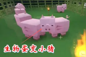 迷你世界联机高级生存50：我从仓库中提取了生物蛋，变出了小猪