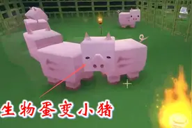 迷你世界联机高级生存50：我从仓库中提取了生物蛋，变出了小猪