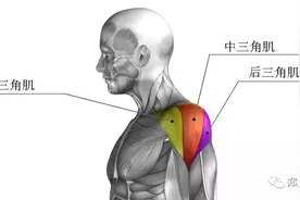 侧平举，你真的做对了吗？看完这篇文章相信你会大有收获！图片