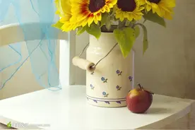 水菜，四川人的那抹乡愁!图片