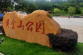 深圳坂田黄金山烂尾楼终于拆了，网友：真是太可惜了图片