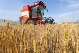 农机手未持证作业被罚，开收割机需要什么证件？如何申领？图片