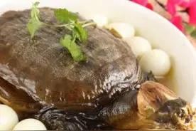 清蒸甲鱼、红烧大鲍翅的家常做法一一“马蹄莲"研讨会的第六天图片