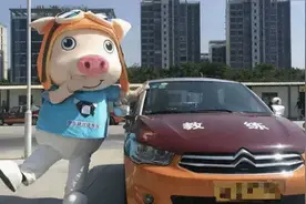 网红驾校“猪兼强”破产记图片