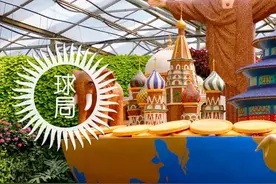 山东，疯狂的蔬菜｜地球知识局图片