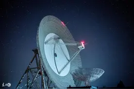 小说：女朋友被关狗笼，我却对仇人视而不见图片