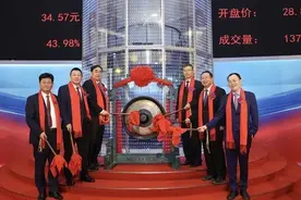 年入83亿，市值267亿！靠废料上市的“亏损小厂”成为世界最大图片
