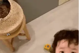 动图表情包：有只小鸭子，叫好响抱抱鸭图片