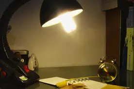 陈行甲｜那些不经意间播下的种子会在意想不到的时候发芽成长图片