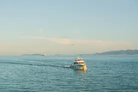 百年东芝不再，达芙妮退场：你看不见的“思维困局”，正在毁掉你图片