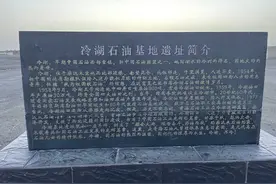 青海省的石油资源为何如此丰富？图片