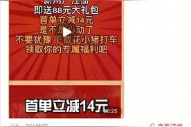 “花小猪”网约车涉嫌在南阳非法营运 交管部门：将协调相关单位查处图片