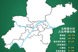 武汉中心城区首现无疫情街道！图片