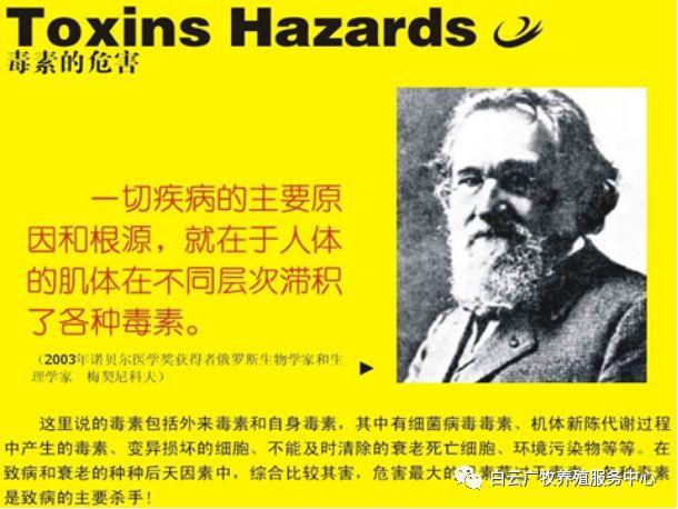 效养蛋禽-全解--如何高效有力的养殖蛋禽增加产蛋，收入