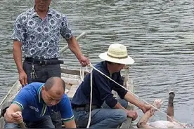 捞尸人背后的肮脏交易，女性尸体遭哄抢，灰色产业链有多赚钱？图片