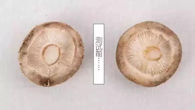 美肌冻干粉有什么作用 美肌冻干粉有什么作用和功效