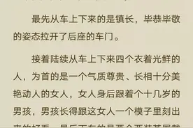 六岁小奶团：七个哥哥亿万团宠图片