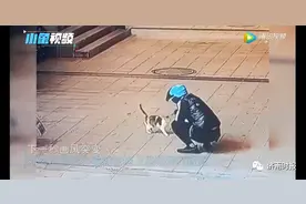 开除，永不录用图片