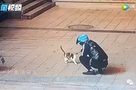 开除，永不录用图片