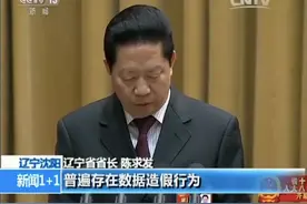 省长“顶住压力”承认造假3年后，督察组反馈了最新情况图片