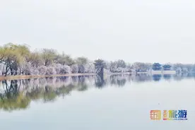 京城赏花 | 颐和园山桃盛开 昆明湖烟雨朦胧图片