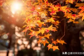 如何修炼自己？看看古人的至理名言图片