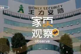 家页观察 | 在争议与质疑中上市的王力安防，乘智能化东风盈利图片