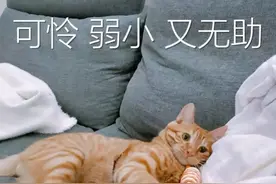 厦门一女子眩晕大半年，还买拐杖防止摔倒，最后确诊是耳石症！医生：这三类人高发图片