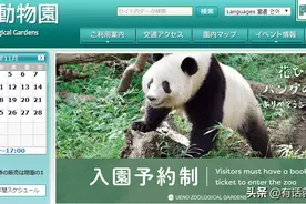 人见人爱的熊猫香香竟也无法阻止部分日本人的疯狂图片