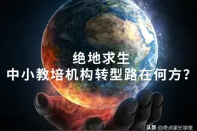 双减转型，中小教培机构绝境求生，裂缝在哪里，光又在哪里？图片