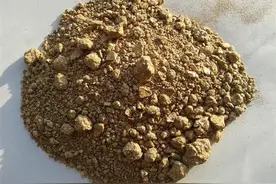 这4款家中常见废料，简单处理用于养花，个个都能变废为宝图片