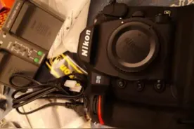 来自高端用户的困扰——D5和D850各有哪些优劣势？图片