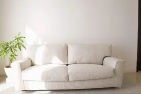 客厅沙发买布艺的还是真皮的好？幸亏装修朋友说，差点买错了图片