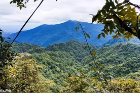 全网最详青城山后山旅游攻略，看完少踩十个雷图片