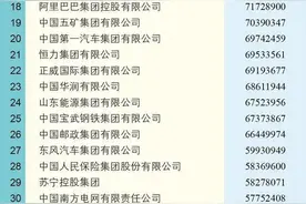 桓台2家企业入围中国企业500强榜单图片