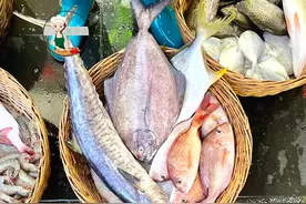 夏天买鱼，懂行人专挑这5种鱼，肉厚刺少营养高，家人爱吃贵也值图片