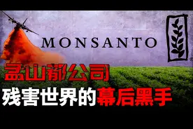 研发生化武器，控制我国转基因食品市场，孟山都的罪恶图片
