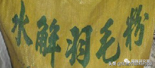 如何识别猫粮中的羽毛粉？