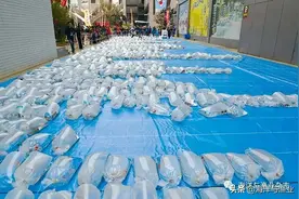 “鱼”日中天的广东锦鲤业图片